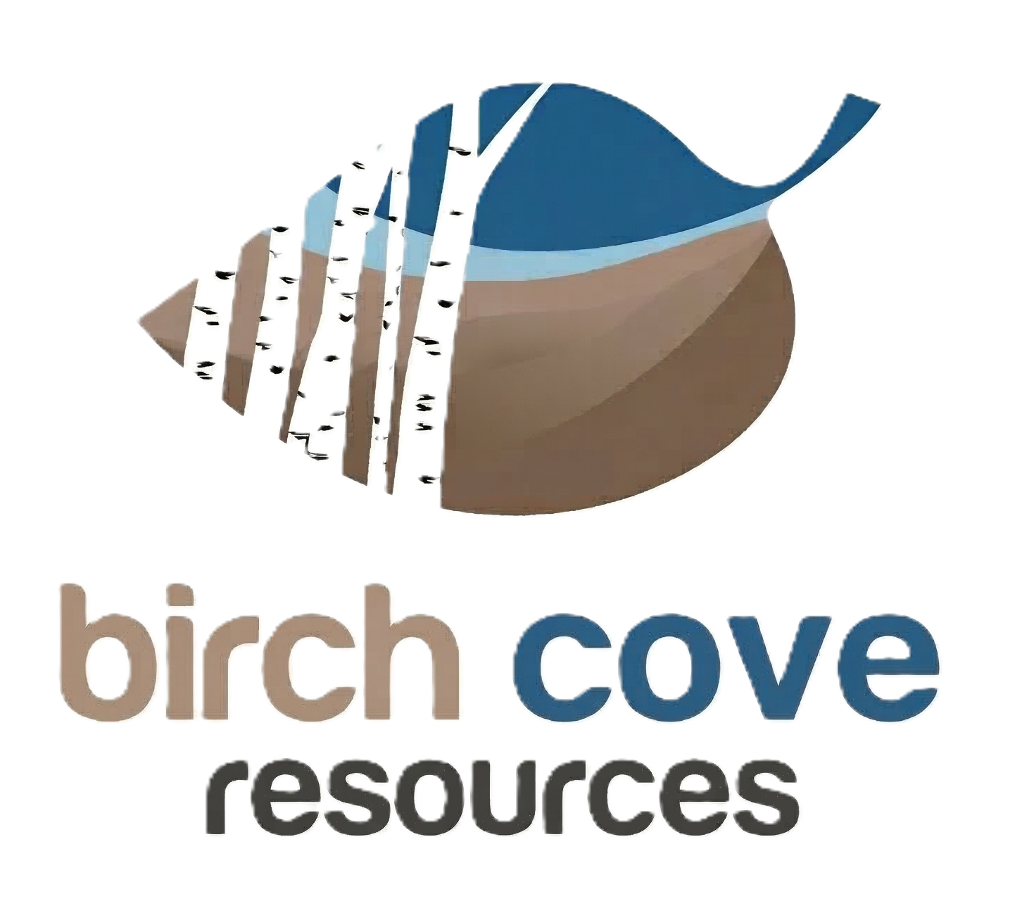 Birch Cove Resources